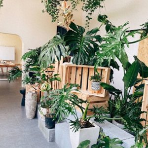 ​赚翻天！十大高利润冷门小生意，让你财源滚滚而来！