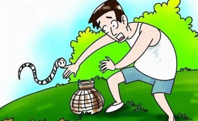 ​眼镜蛇王威胁森林：毒性致命，大象远离该不寻常生物！