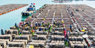 ​20亿粒连江福鲍下海“安家”