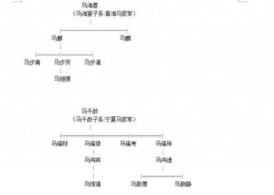 ​西北马家军，如何发展壮大而来，并阻挠红军西进？