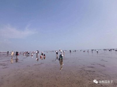 ​天津赶海、遛娃新去处—东疆港亲海公园，免费，好玩，收获满满