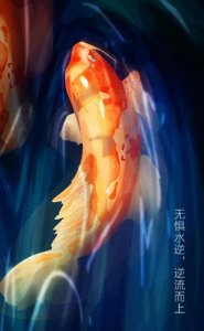 ​2024好运锦鲤来了！让你的人生迎接幸福大礼！