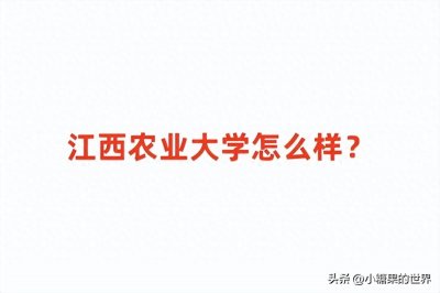 ​2024江西省本科大学排名，江西农业大学怎么样？