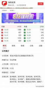 ​视觉中国是外资公司吗？