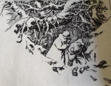 ​中国著名的长篇小说《林海雪原》