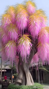 ​这些奇形怪状的树木各有特色，让人不禁感叹大自然神奇无穷创造力