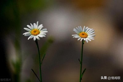 ​已婚男人对其他女人动了真情的三大表现