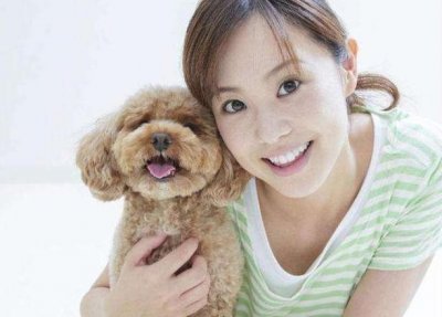 ​最“听话”的6种狗，对于主人的命令，都会老实去执行