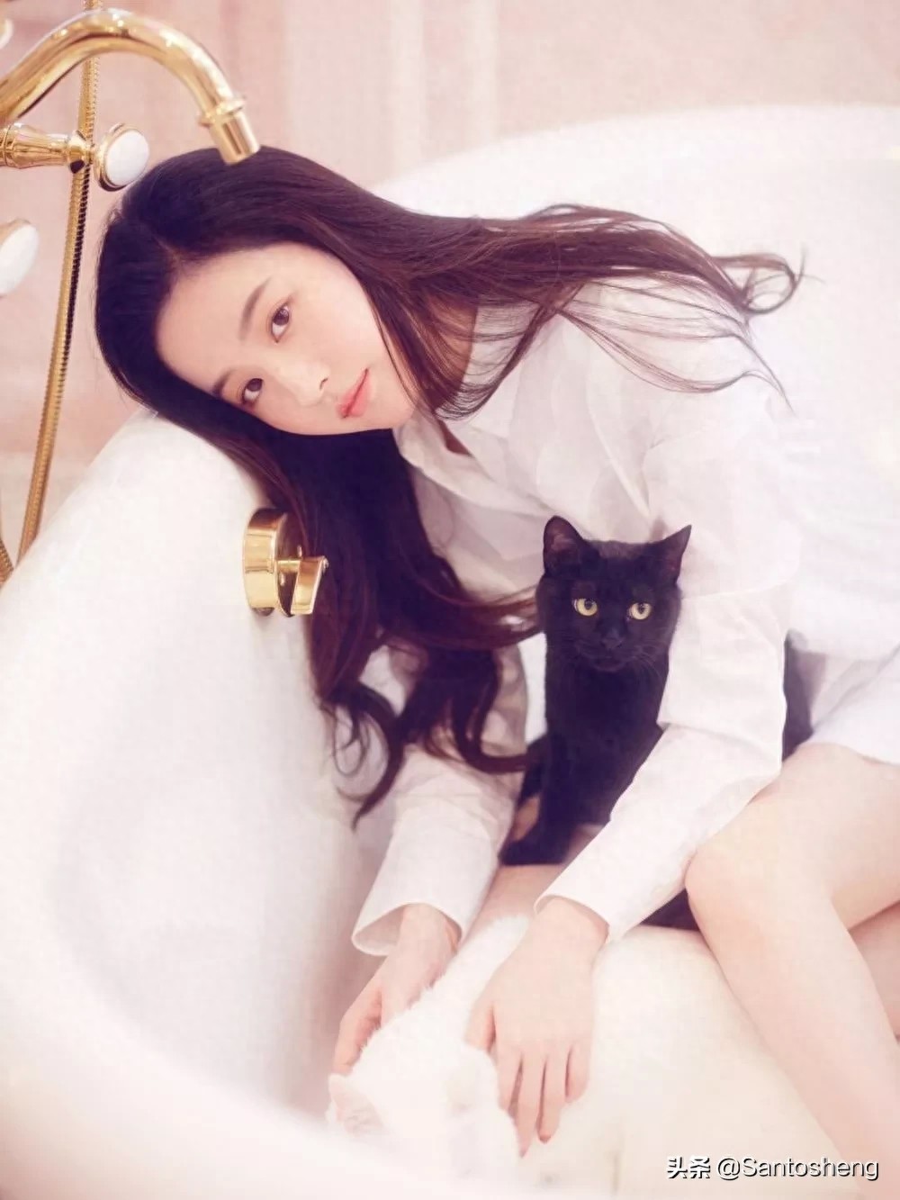 刘亦菲图集及维基百科