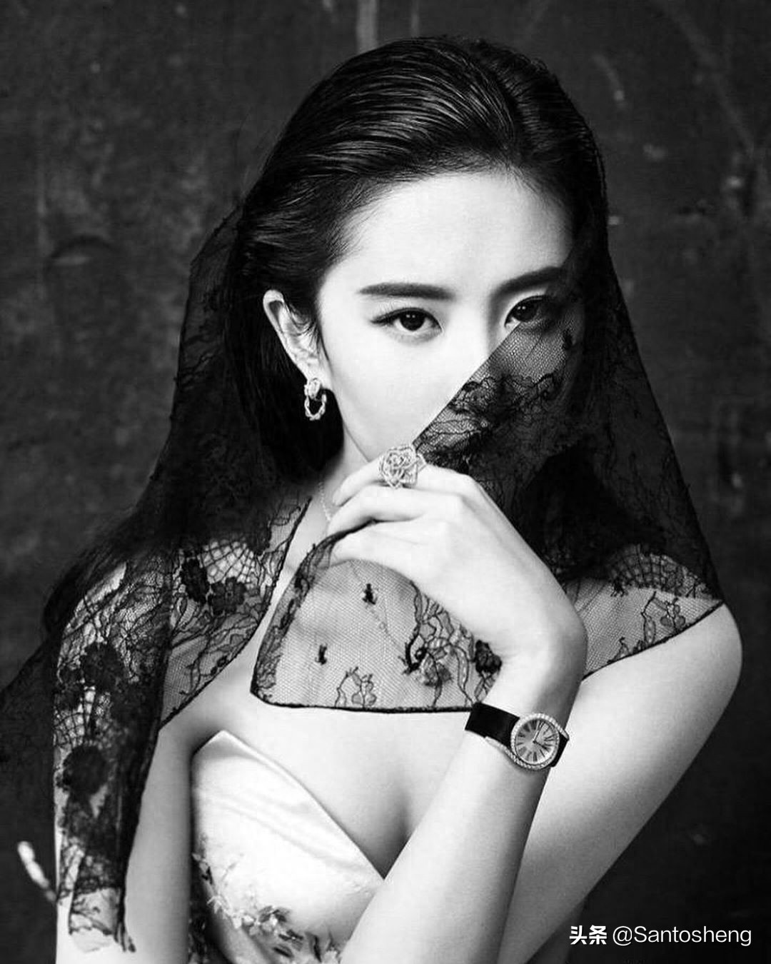 刘亦菲图集及维基百科