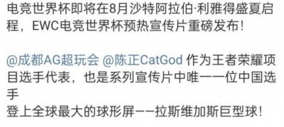 ​猫神代表王者荣耀引发争议！为何不是Fly，无论荣誉贡献都力压Cat