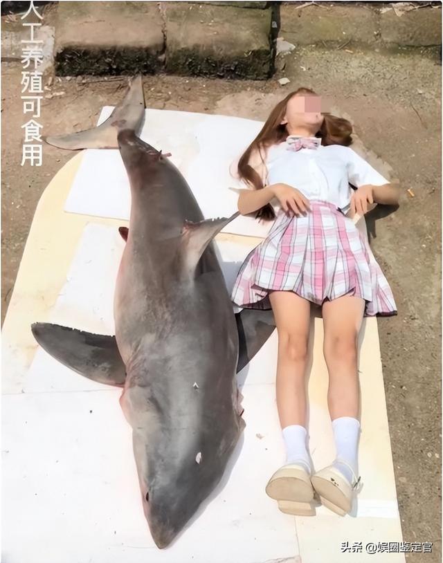 网红提子最后怎么处罚的(坐拥八百多万粉丝)(8)