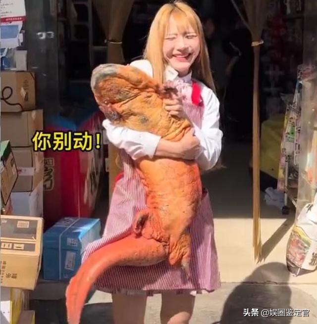 网红提子最后怎么处罚的(坐拥八百多万粉丝)(2)