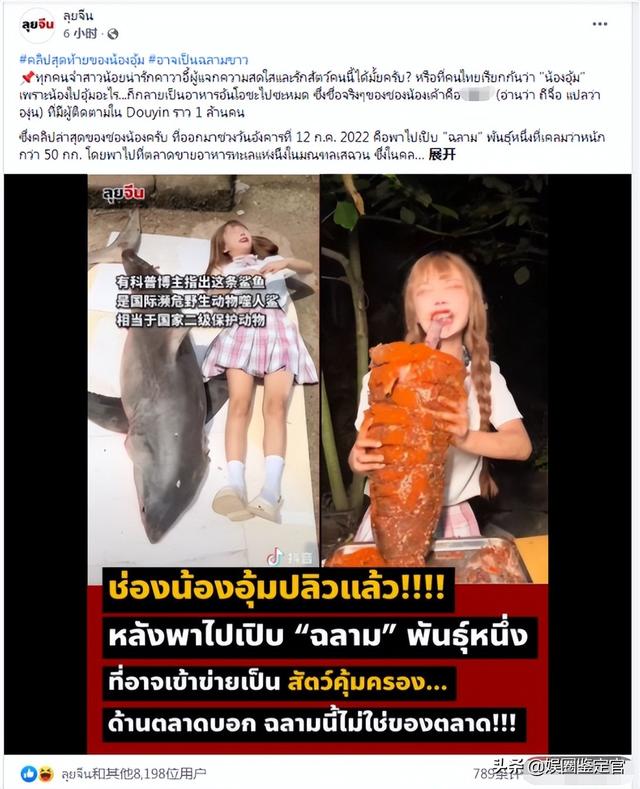 网红提子最后怎么处罚的(坐拥八百多万粉丝)(6)