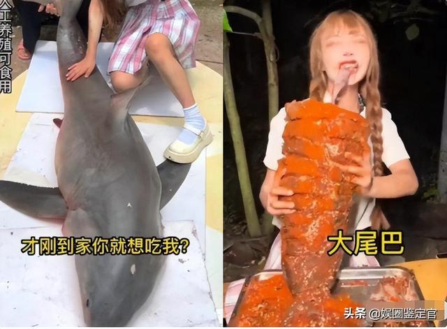 网红提子最后怎么处罚的(坐拥八百多万粉丝)(1)