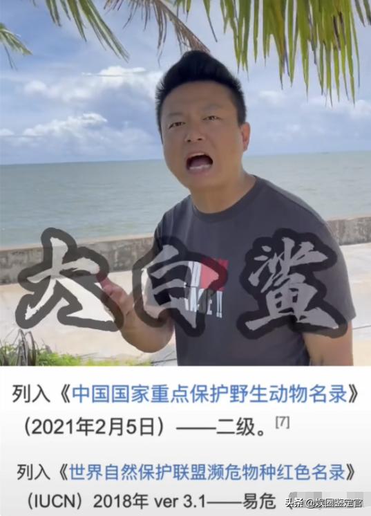 网红提子最后怎么处罚的(坐拥八百多万粉丝)(4)