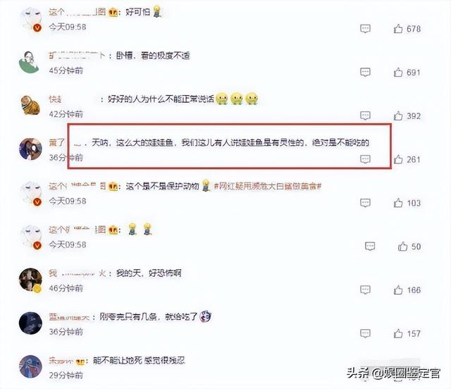 网红提子最后怎么处罚的(坐拥八百多万粉丝)(5)