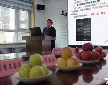 ​颠覆想象！山东农大培育出“红心”苹果！
