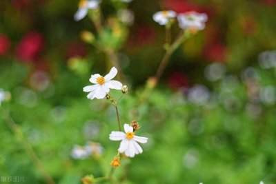 ​已婚男人总和你聊这些话题，是想撩你，他在试探你的底线