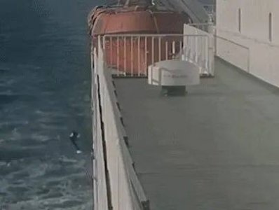 ​男子将妻子推落大海致其身亡，妻子死后不久就招嫖……