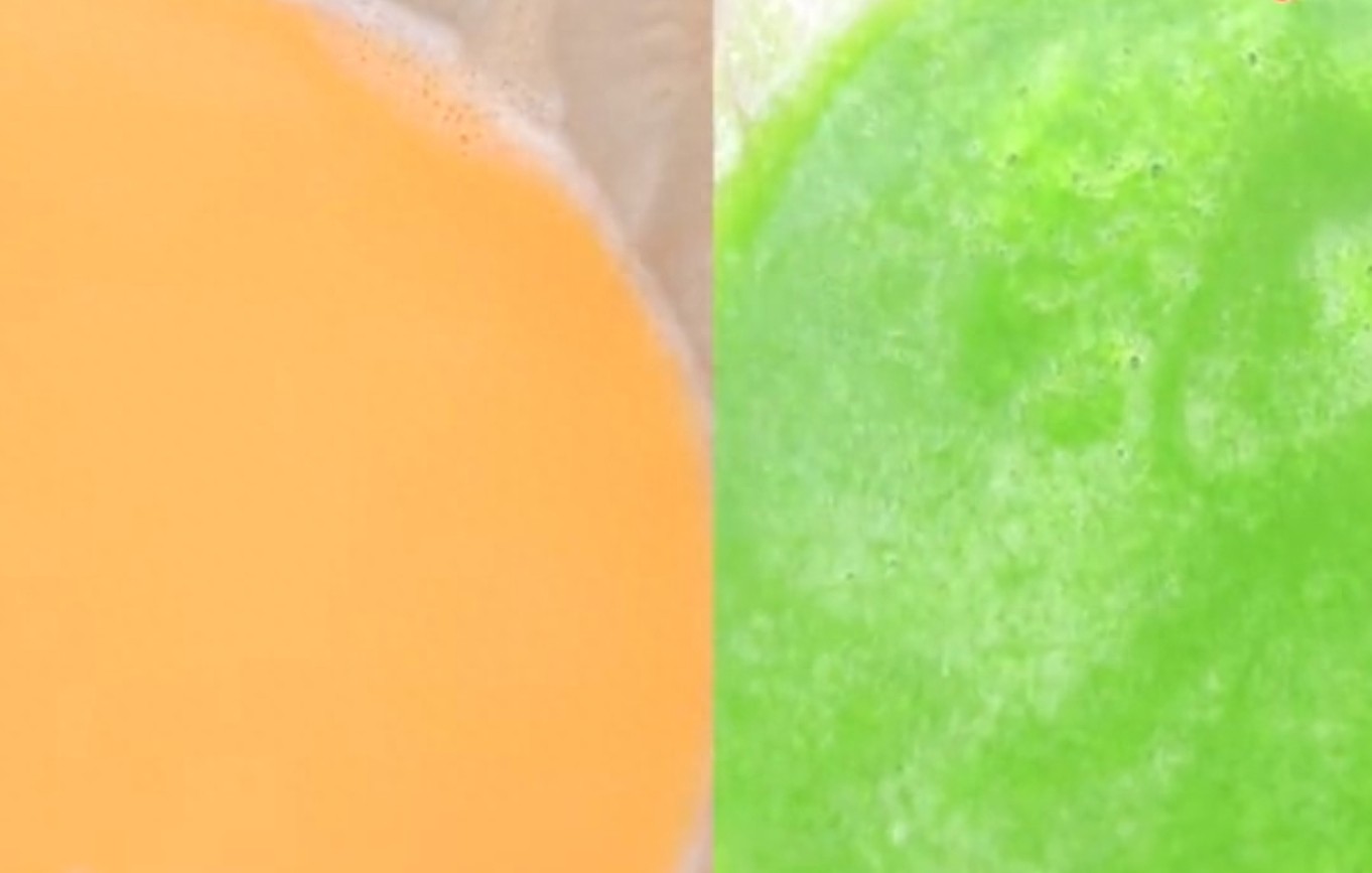 这才是蒸蛋的正确做法，营养翻倍，嫩滑不破有弹性，特别适合孩子