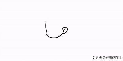 ​美人鱼画法教给你，陪宝宝一起，一步一步画出可爱又漂亮的美人鱼