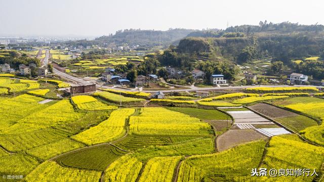 刘禹锡诗经典十首(十首雄奇苍劲的经典作品)(5)