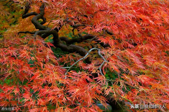 刘禹锡诗经典十首(十首雄奇苍劲的经典作品)(4)