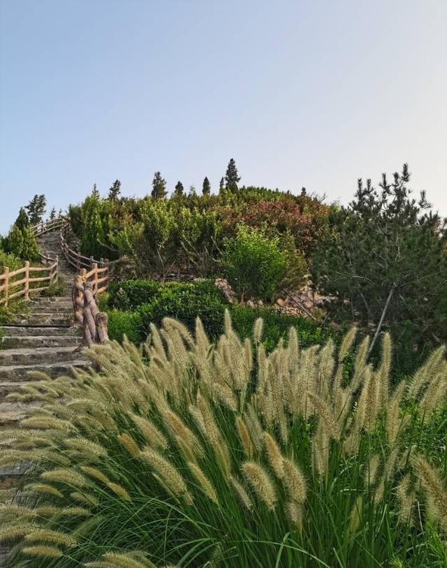 王戎不取道旁李(王戎不取道旁李意思) 王戎不取道旁李 王戎不取道旁李意思 第6张 王戎不取道旁李(王戎不取道旁李意思) 王戎不取道旁李 王戎不取道旁李意思 第6张