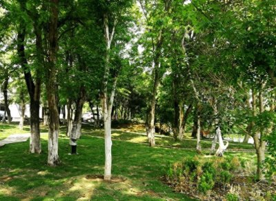 ​湖北省-京山市-旅游景点攻略