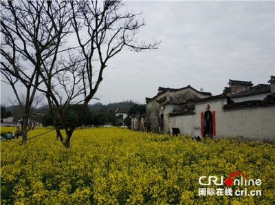 ​安徽西递古村落美景(组图)