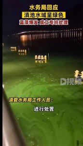 ​昆明滇池水成了绿豆汁，民众天天打电话投诉