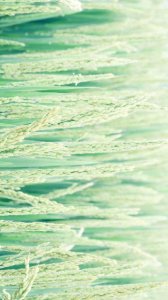 ​微微笑 小时候的梦我知道 :)  || @忆南周