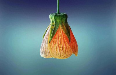 ​10个聚财好方法，让你越来越有钱！