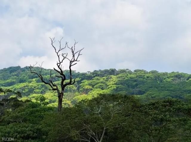 斯里兰卡旅游地图(世界旅游地图揽胜)(3)