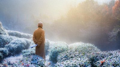 ​佛教经典故事：悟道需平常心从葫芦与盐的故事看修行之道