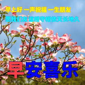 ​分享图片：早安，愿朋友一切安好