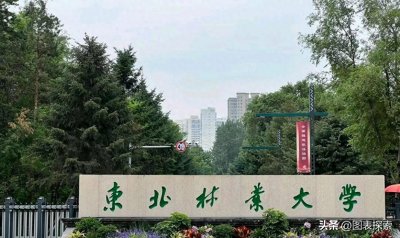 ​211大学东北林业大学，其前身是浙江大学还是东北农业大学？