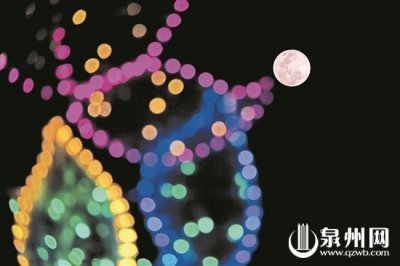 ​火树银花不夜天 花灯如海人如潮