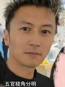 ​谢霆锋：多栖发展的全能艺人