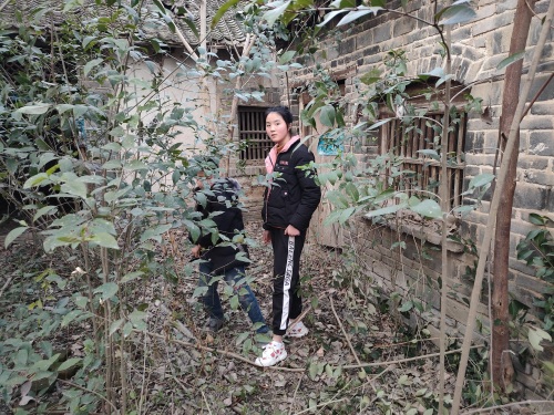 请欣赏：一组河南农村的老房子照片