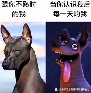 ​盘点全网笑到肚子疼的搞笑图片，笑死人不偿命~(第十二期)