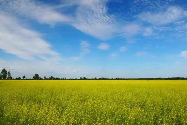 京北第一草原天路（史上最强版草原天路攻略）(37)