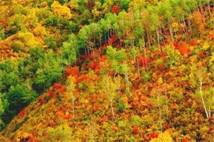 京北第一草原天路（史上最强版草原天路攻略）(35)