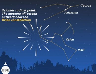 ​请定好闹钟，猎户座流星雨即将迎来极大值！