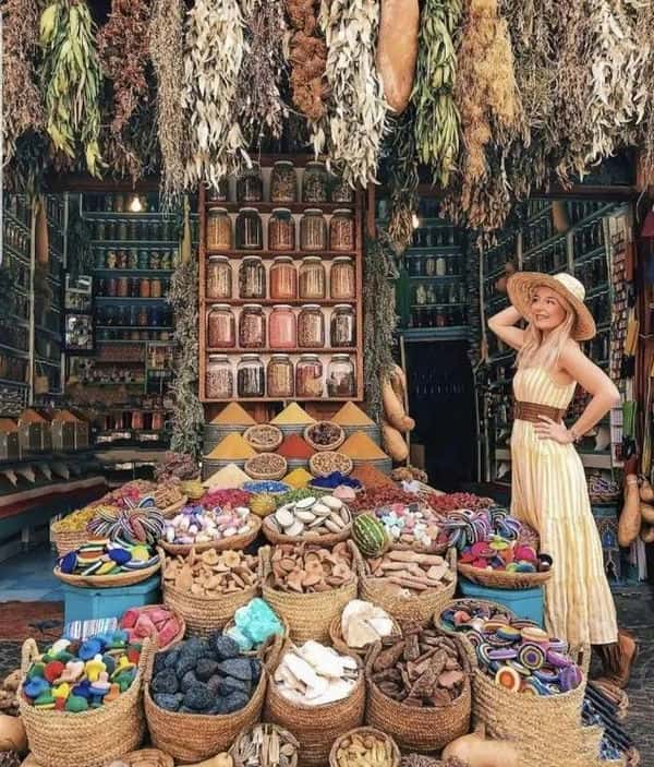 摩洛哥是讲什么语言（摩洛哥说什么语言为主）