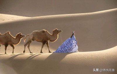 ​罗布泊到底有多神秘？这究竟是一个怎样的地方？