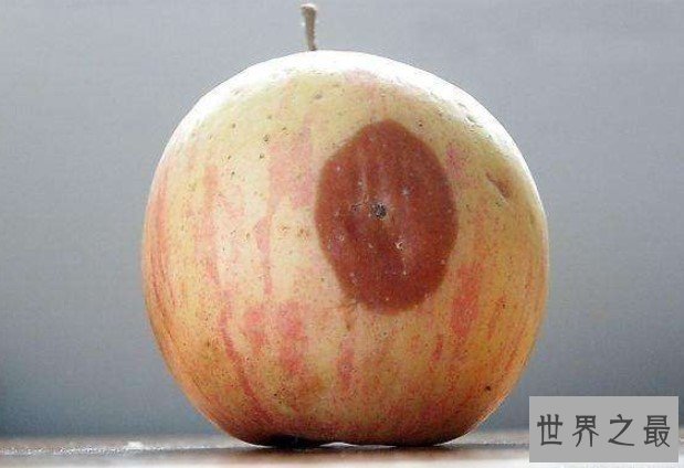 世界上细菌最多的水果,每个苹果携带的细菌高达1亿个