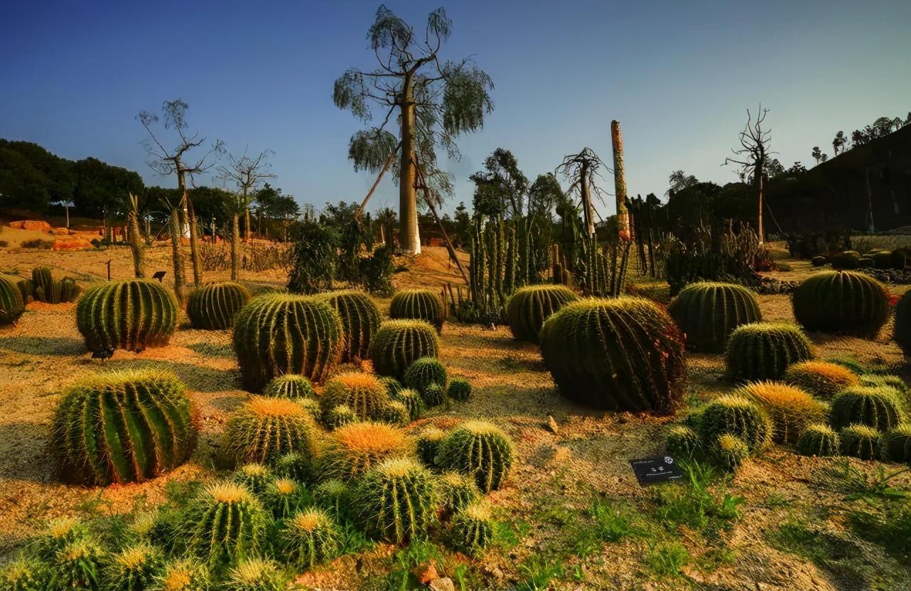 东莞市有多少人口(东莞市各镇人口排名)