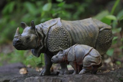 ​中国犀牛还能复活吗？